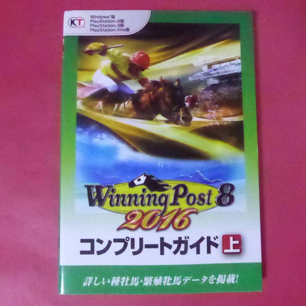 S4260107PC PS4 PS3 PSVIT P8 2016 Koei Tecmo Games p1