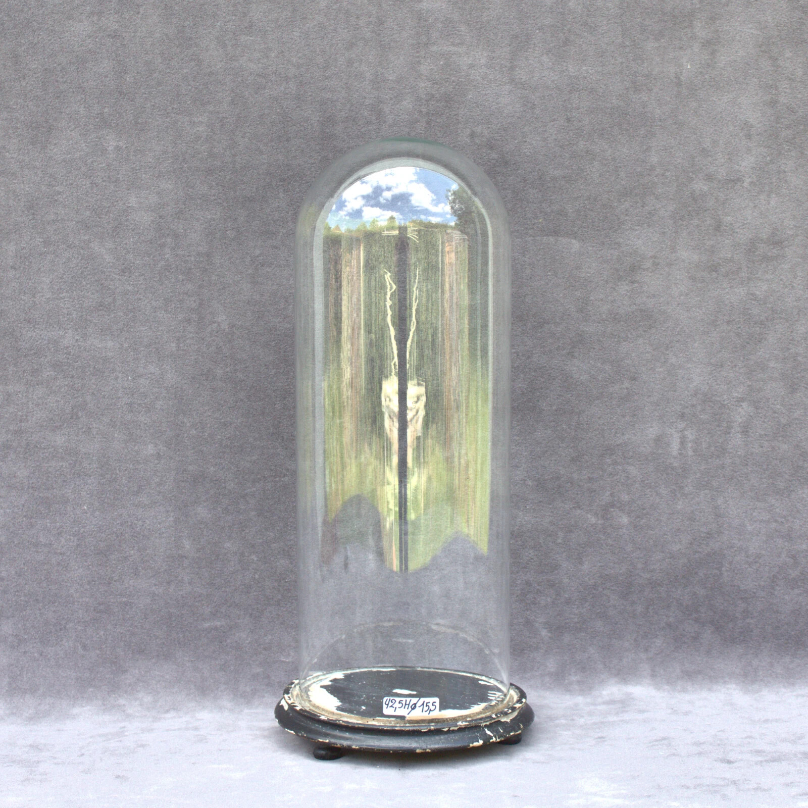 Exquisite Antique round Glass Dome Bell Jar handblown 16.73x 6.10 inch 42,5x15,5