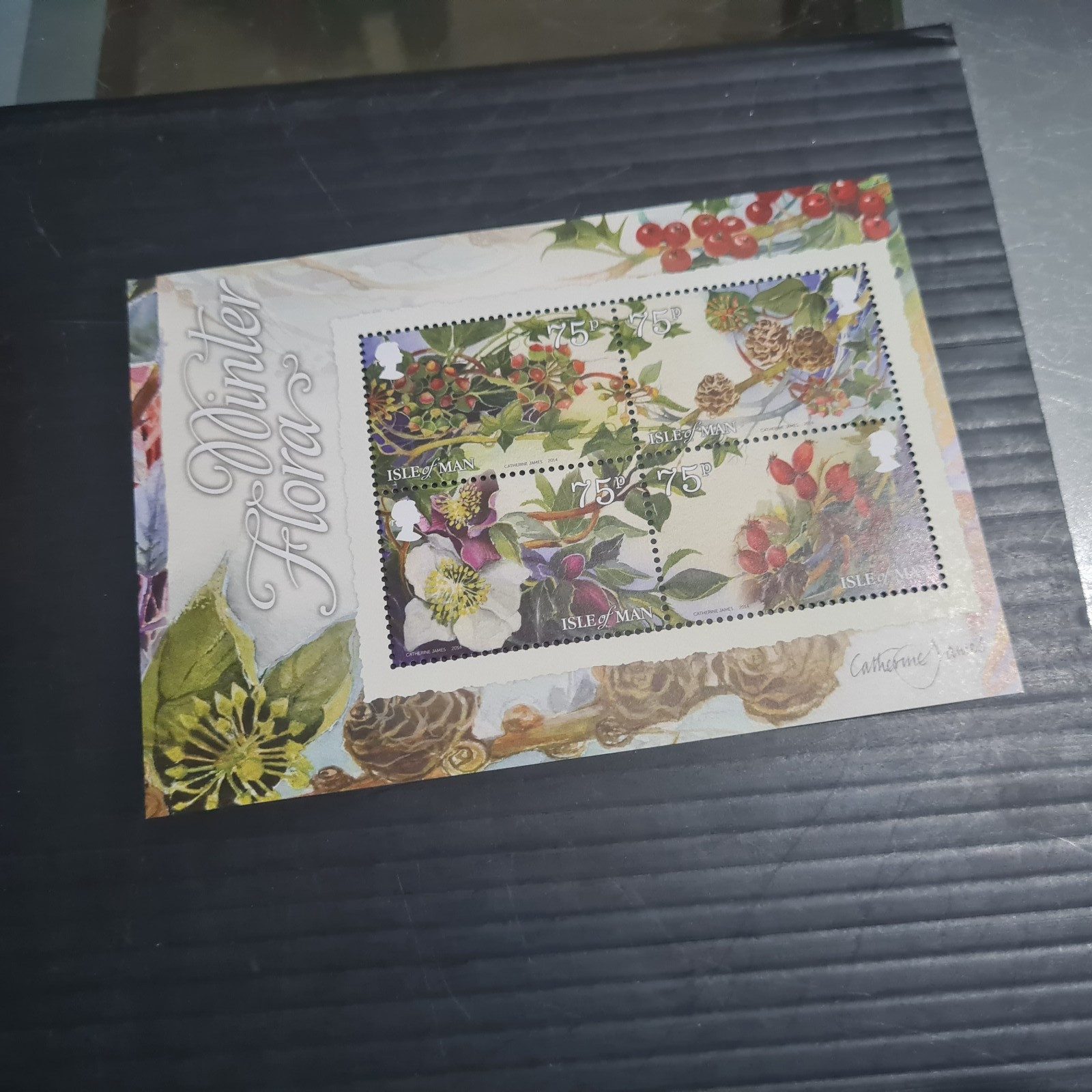 ISLE OF MAN 2014 SG MS1875 WINTER FLORA MNH