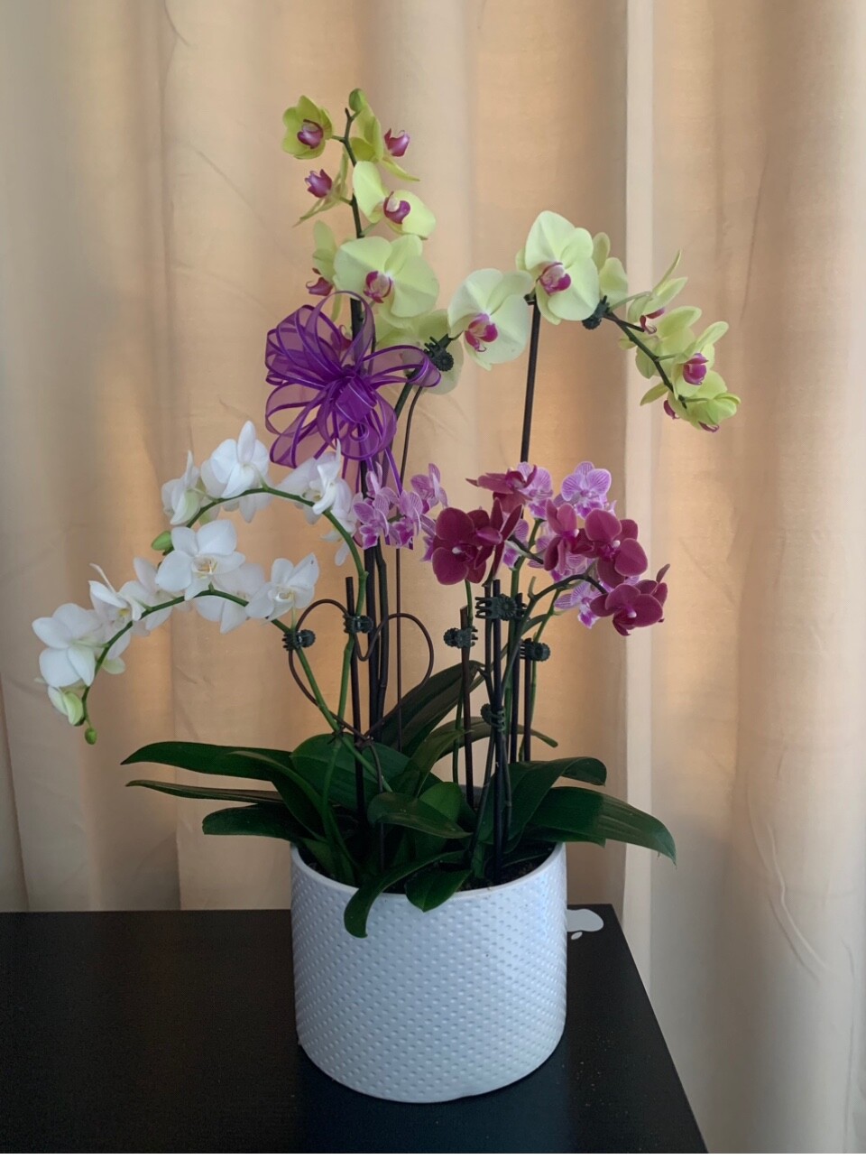 Beautifully arranged orchid