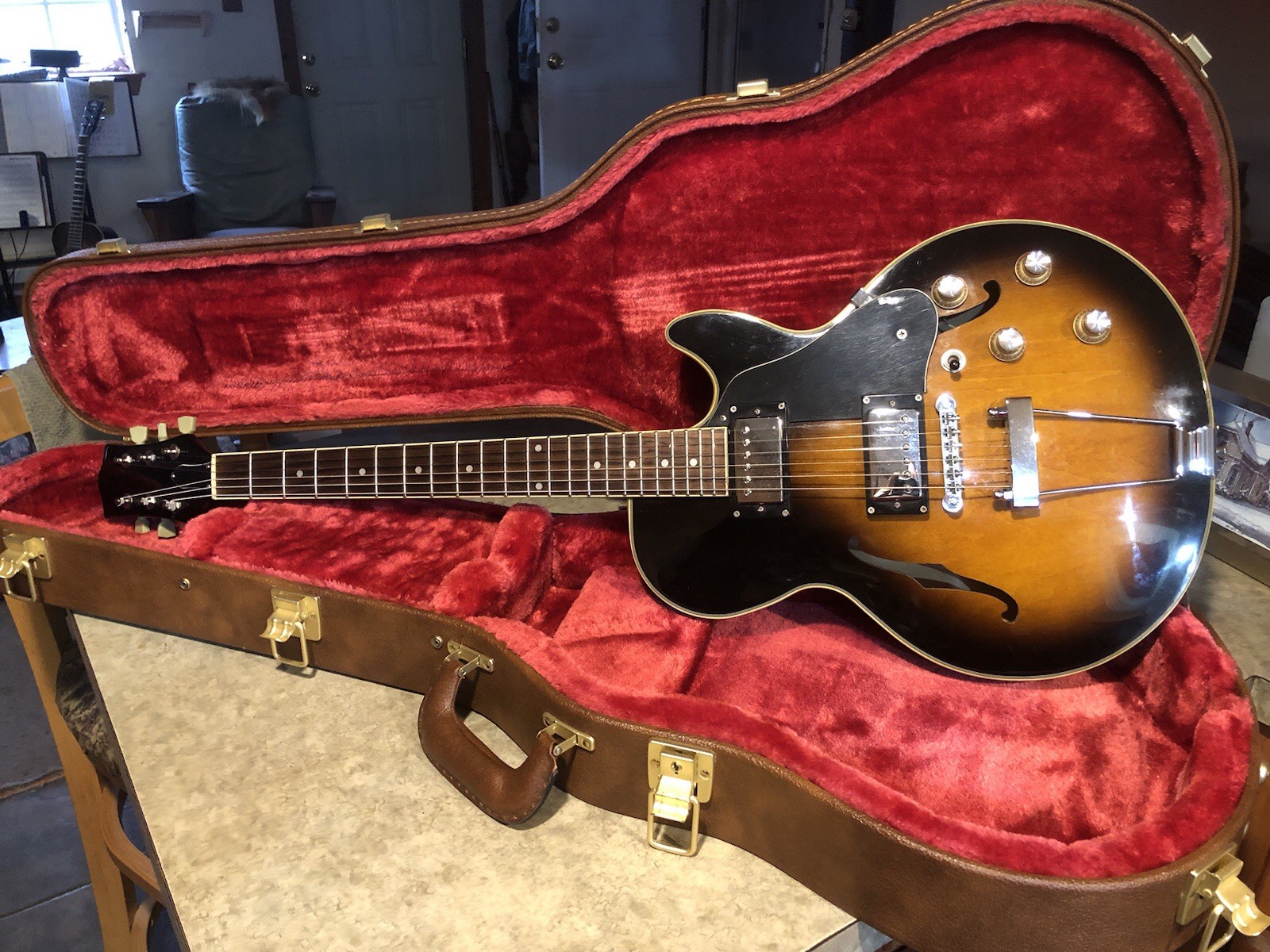 Jay Turser JT-134 Hollow body Upgraded