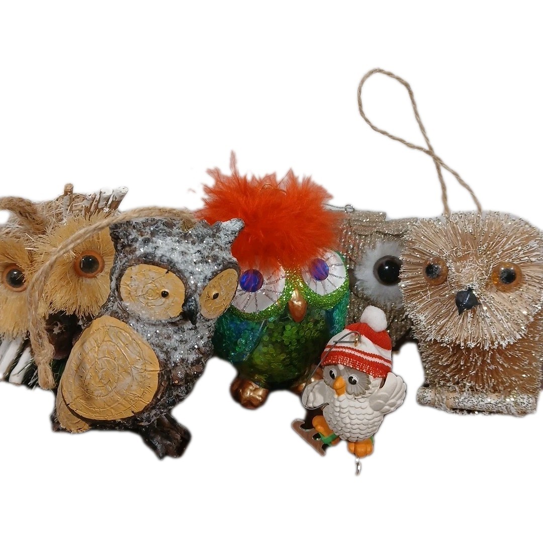 Owl Ornaments Collection Pier 1 Blown Glass Natural Owls Christmas Lot/6 