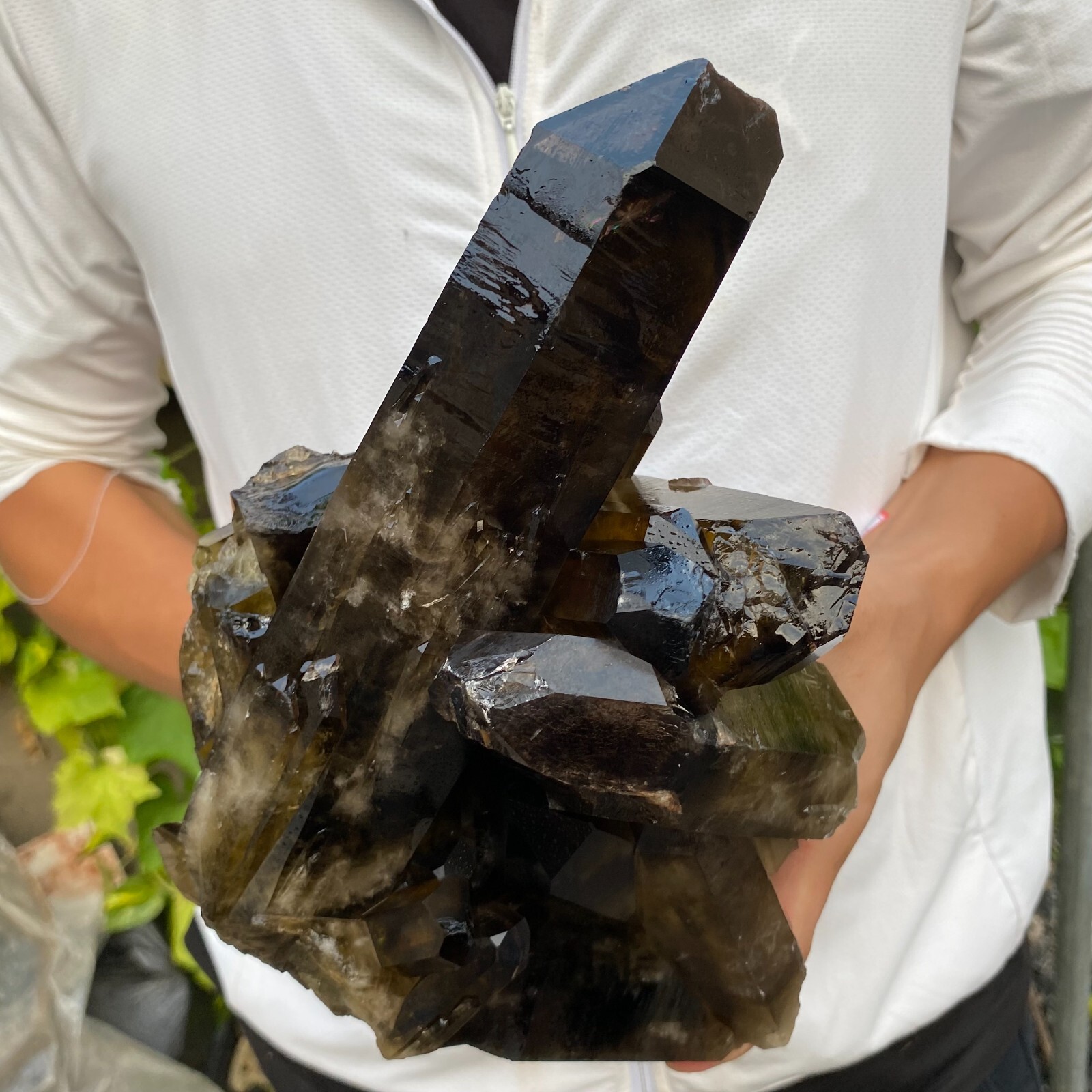 10.7lb Natural Black Smoky Quartz Crystal Cluster  Specimen healing