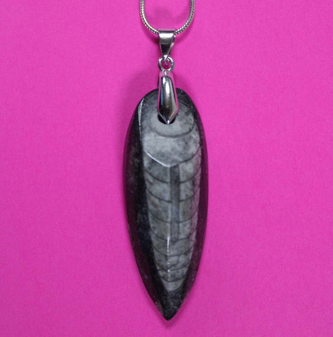 Authentic Orthoceros Necklace Fossil 500 Million Years Old Dinosaur Girl COA 57