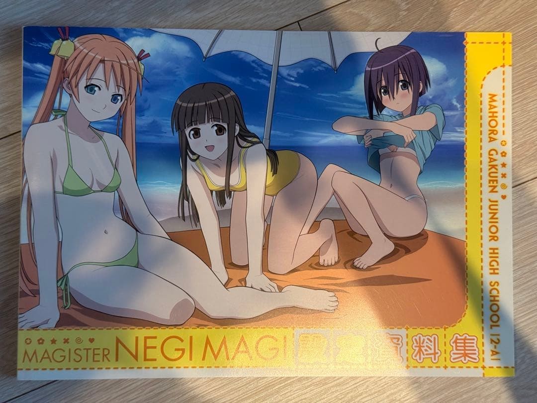 Negima! Setting Material Collection Anime Version, , Character & Art Guide