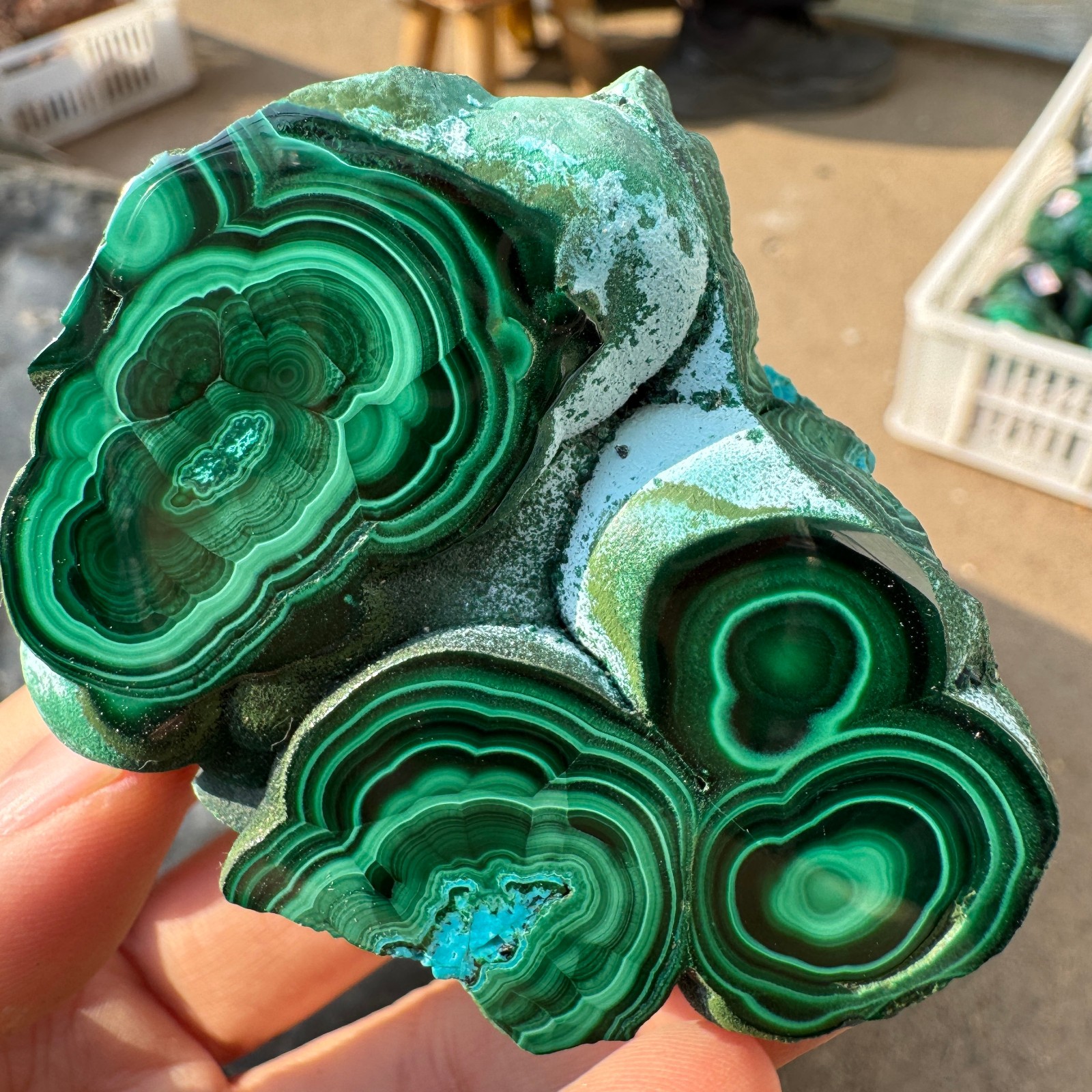 165G Natural Green Malachite Quartz Crystal Rough Mineral Specimen healing