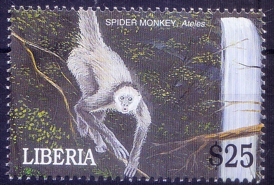 Liberia 2001 MNH, Spider Monkey, Wild Animals  