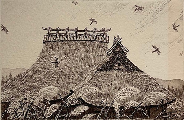 Hiroto Norikane "Dragonflies 08" Copperplate Print Ed.520 Authentic From Japan