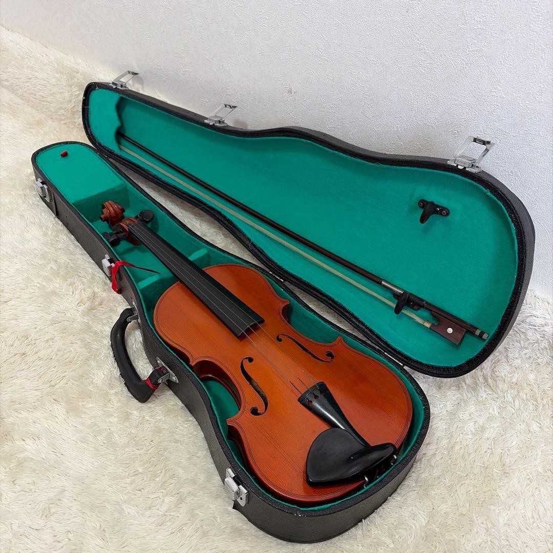 palatino AXL-10 4/4 Violin String Instrument Introduction Hard Case