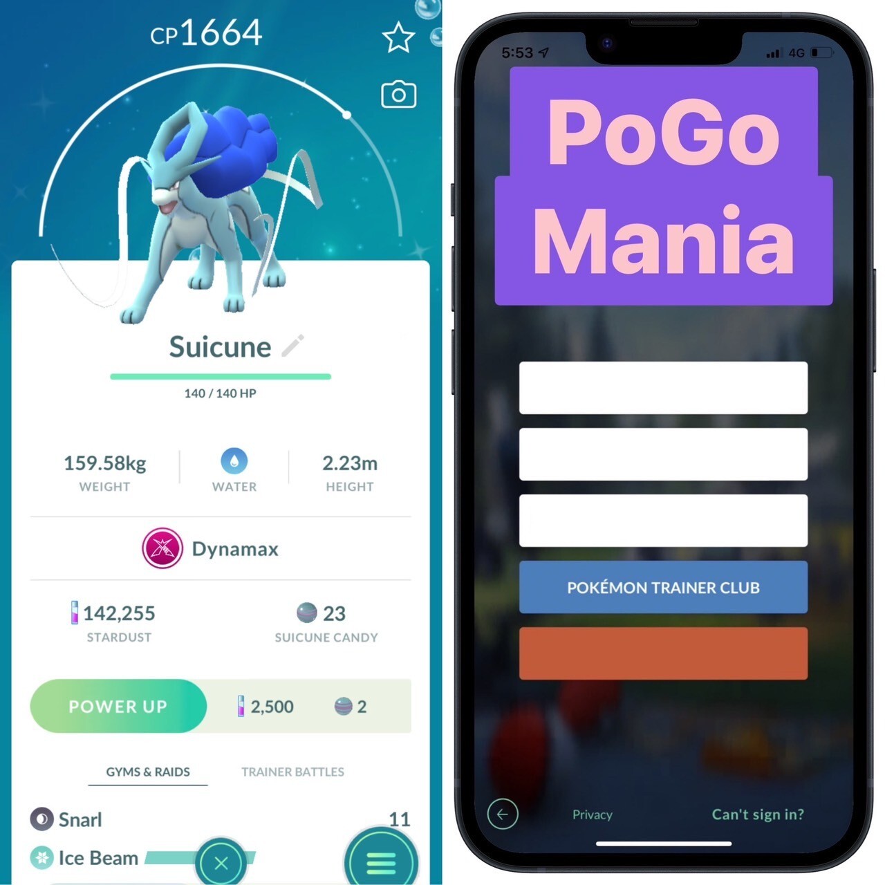 Shiny Dynamax Suicune✨mini PTC 20k✨(read description)