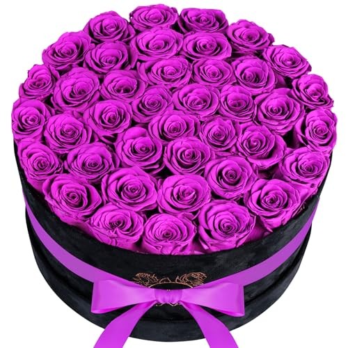40 Pieces Preserved Roses in Suede Box, Flowers for Mothers Day, Purple