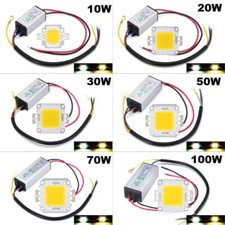 LED Driver + COB Chip 100W 50W 30W 20W 10W Power Supply Transformer Bulb Lights