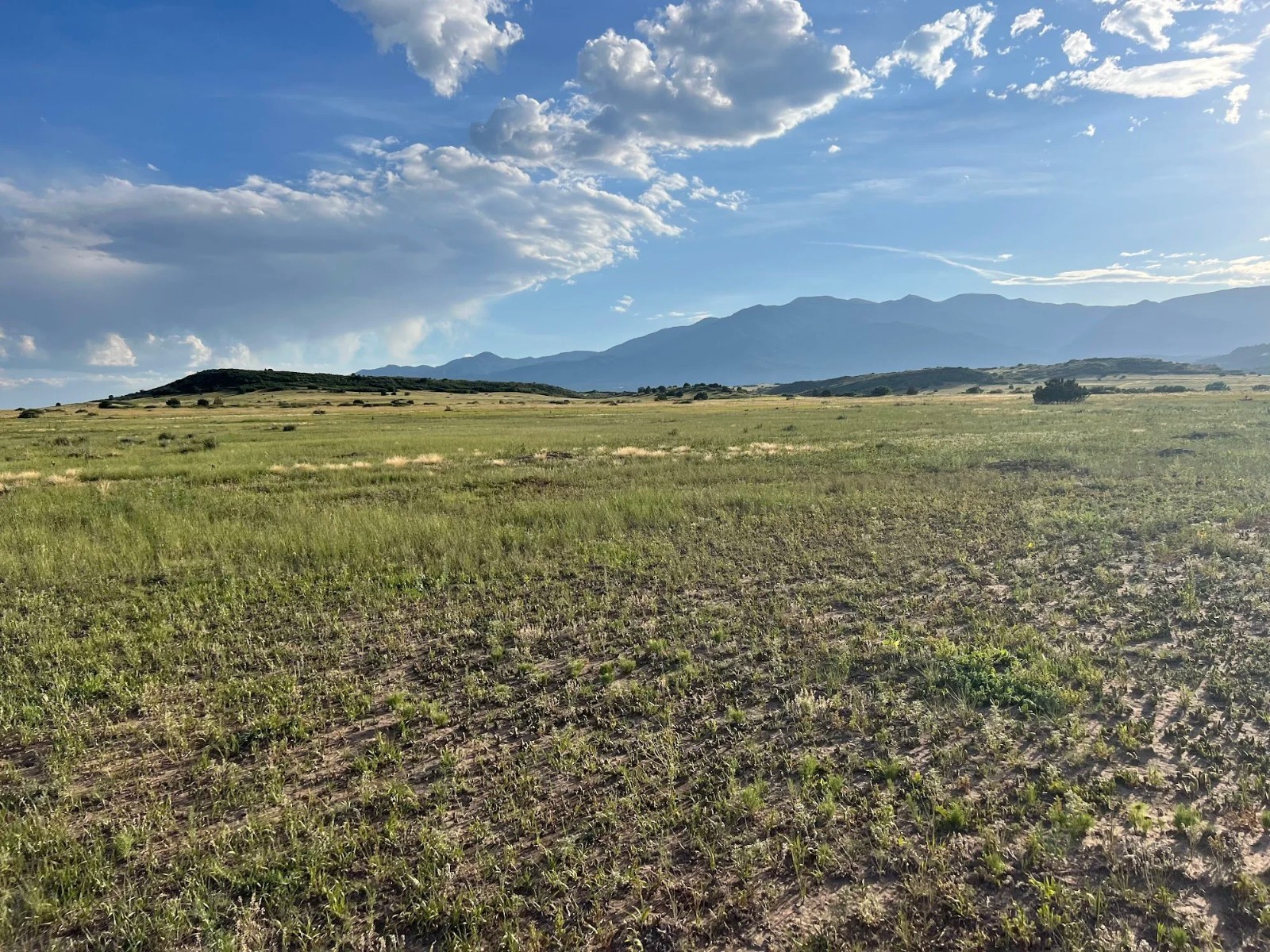 $200 Down $275/Month 0% Interest Financing. Colorado Residential Lot.