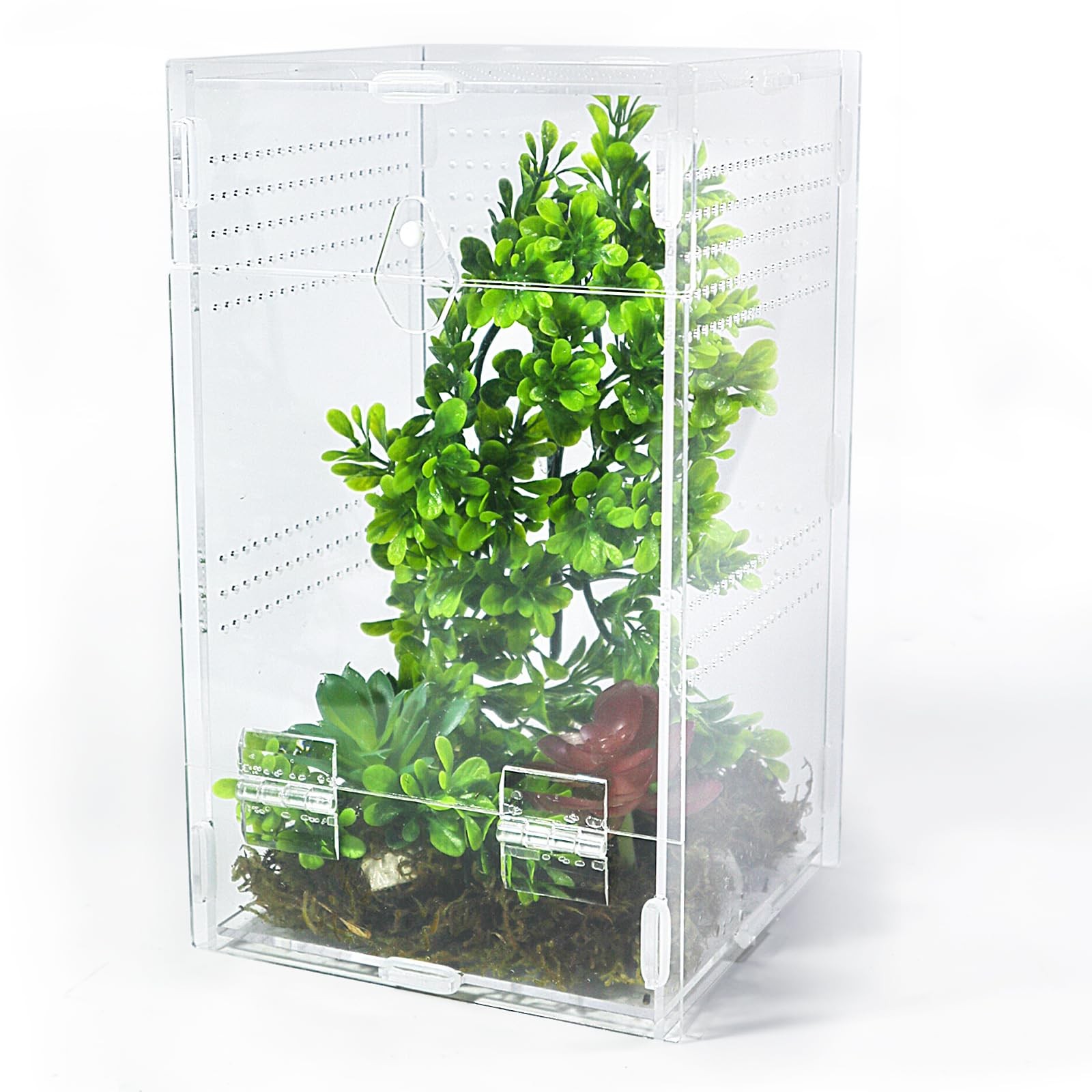Jumping Spider Enclosure 6x6x10 Inch Transparent Arboreal Tarantula Habitat Fit