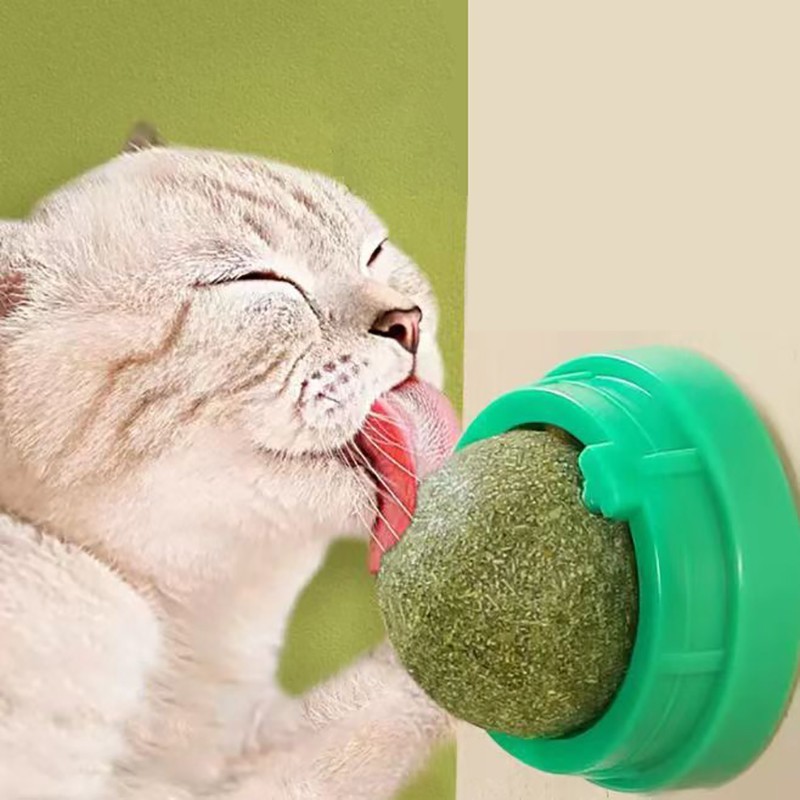 Catnip Wall Stick-On Ball Toy – Natural Cat Grass Treat & Scratch Play Ball