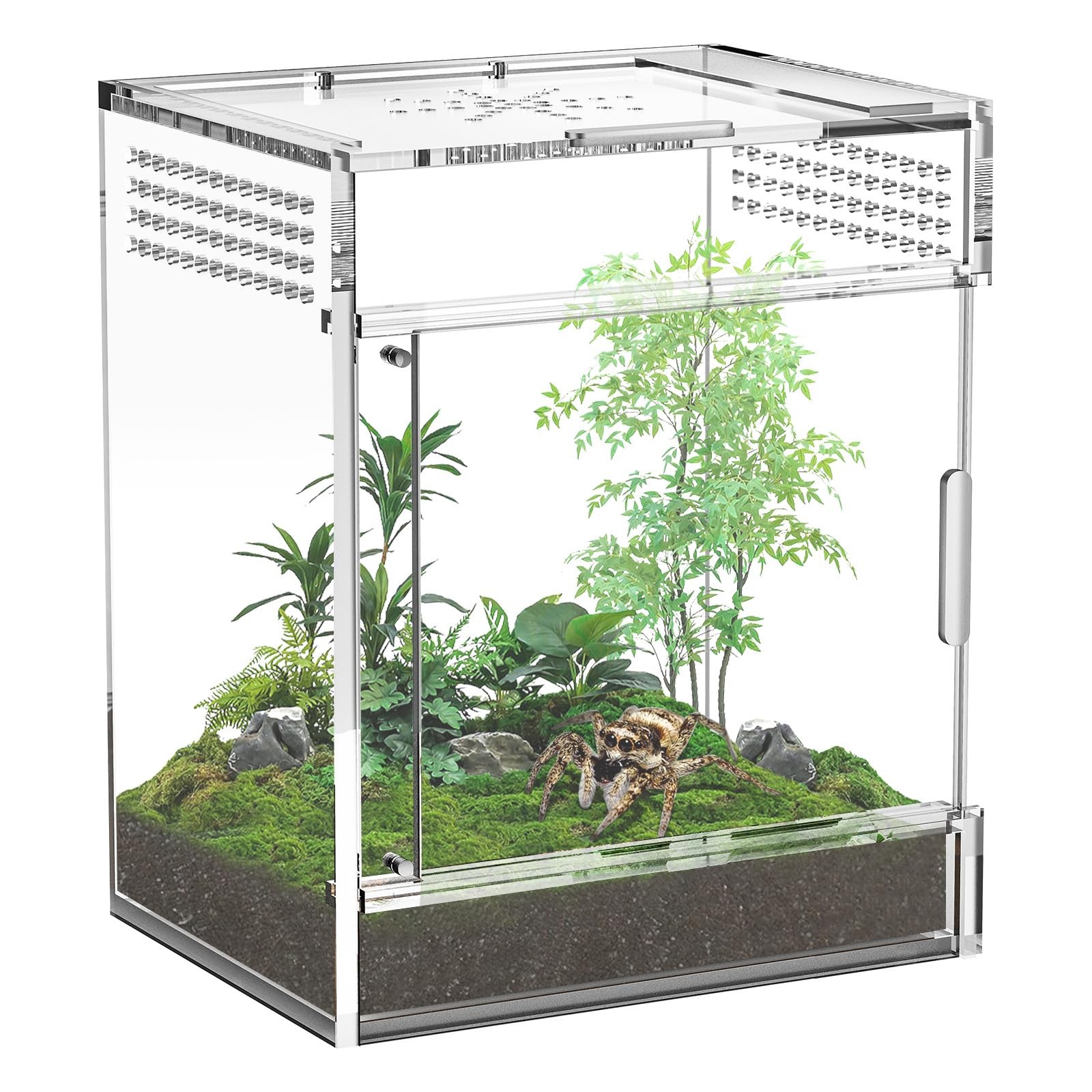 BVOPLME Jumping Spider Enclosure, One-Piece Fully 5.9x5.9x9 inch, Transparent 