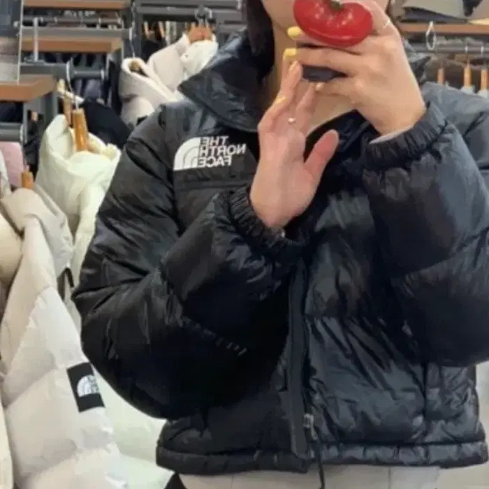 The North Face Nupsi Cropped Puffer Jacket - Glossy Finish, Size M