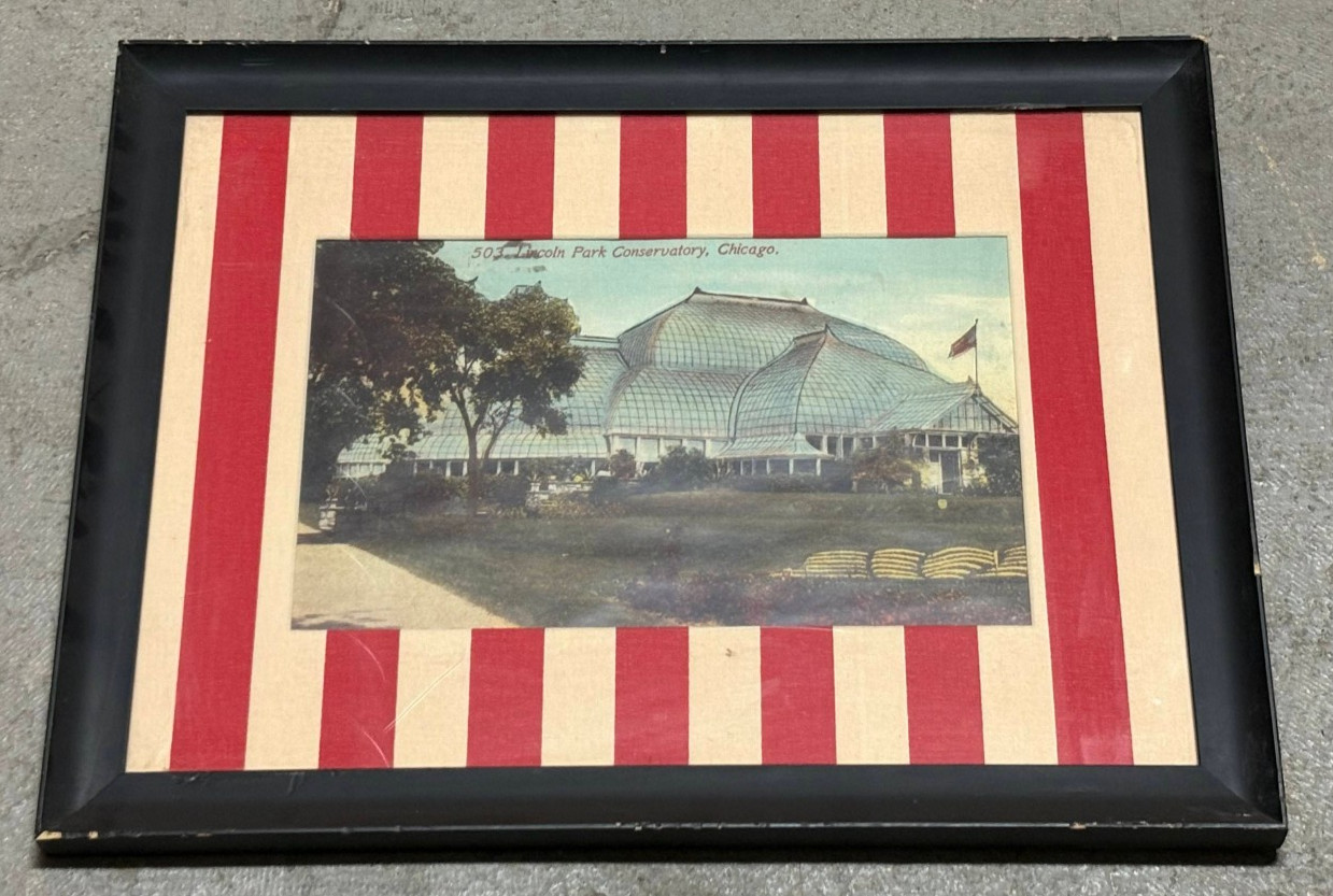 1912 FRAMED MATTED #503 Lincoln Park Conservatory in Chicago Illinois Art Print