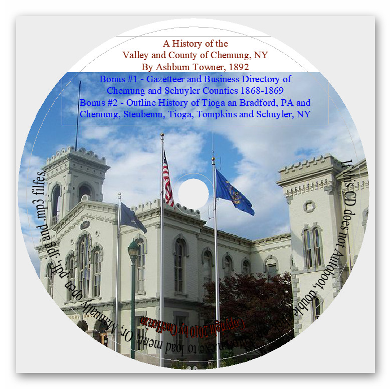 Chemung County New York History +2 Bonus Books