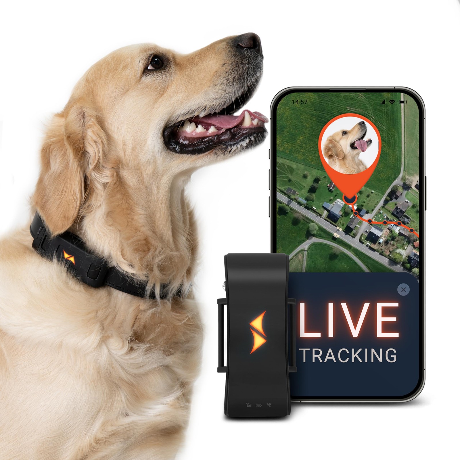 PAJ GPS Dog Tracker - 4G Real-Time Tracking  Runaway Alerts - Waterproof, Lon...