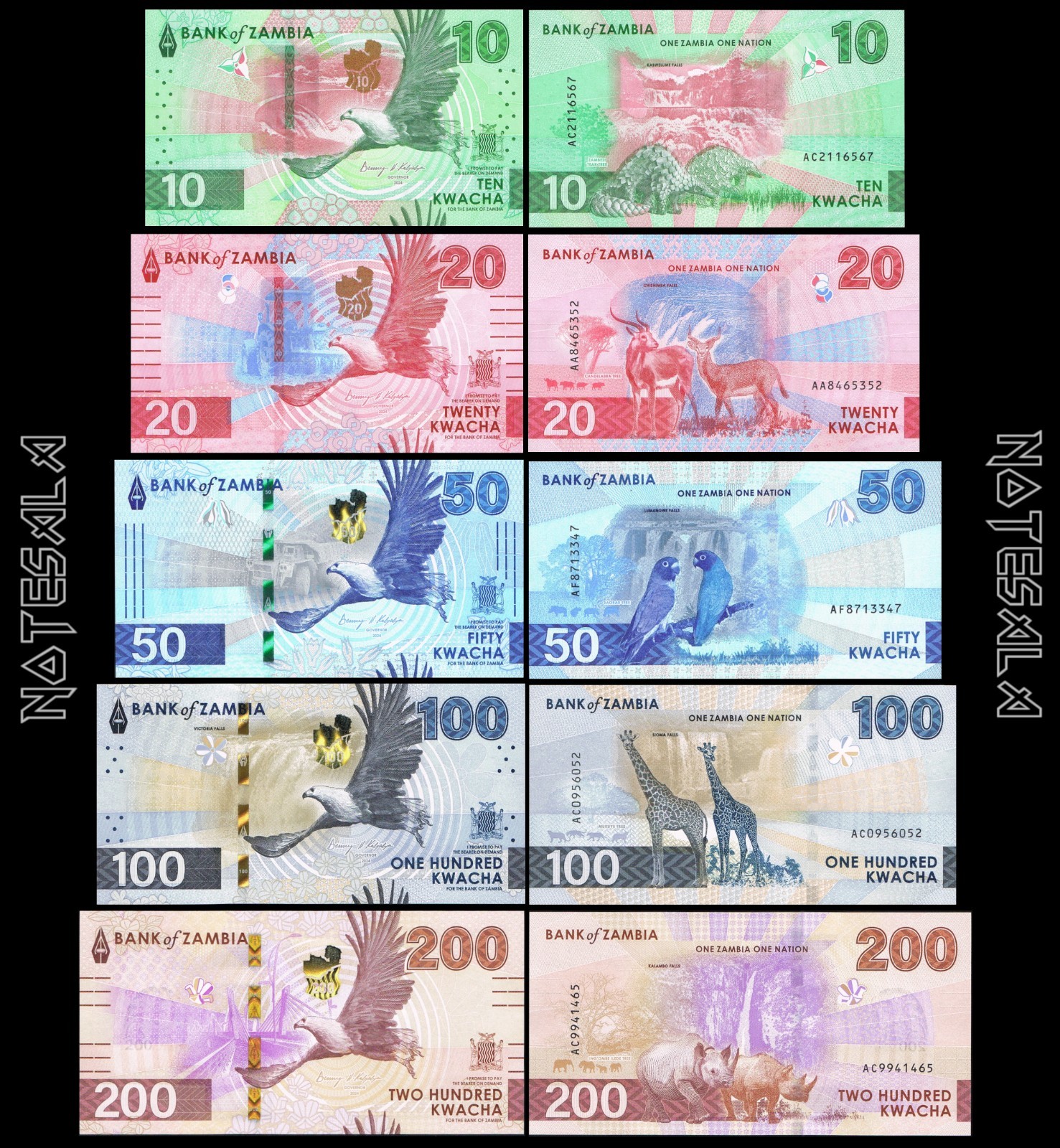 ZAMBIA SET 5 Pcs 10, 20, 50, 100 & 200 KWACHA 2024 Pick-62-63-64-65-66 UNC