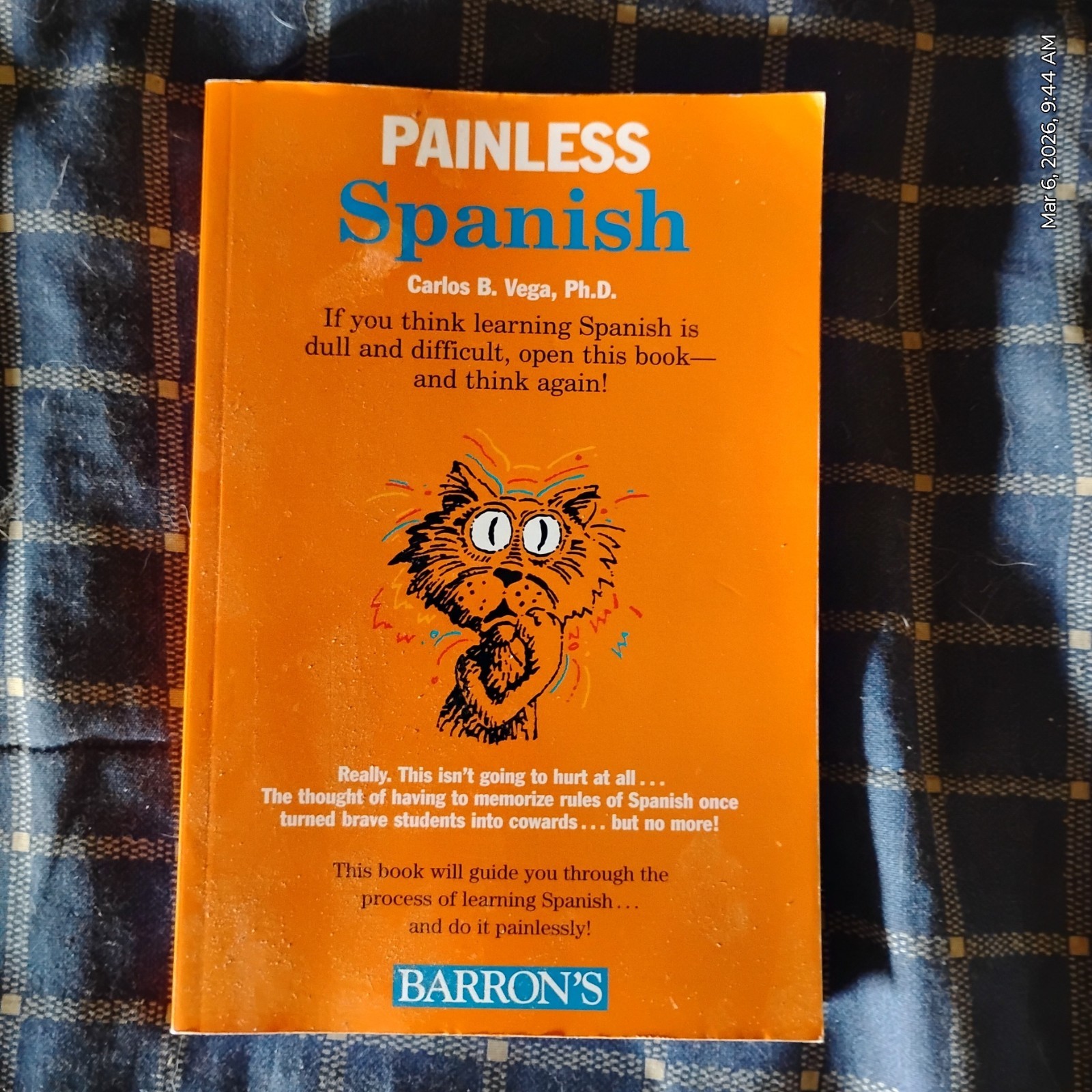 Painless Ser.: Painless Spanish by Carlos B. Vega (2006, Perfect)
