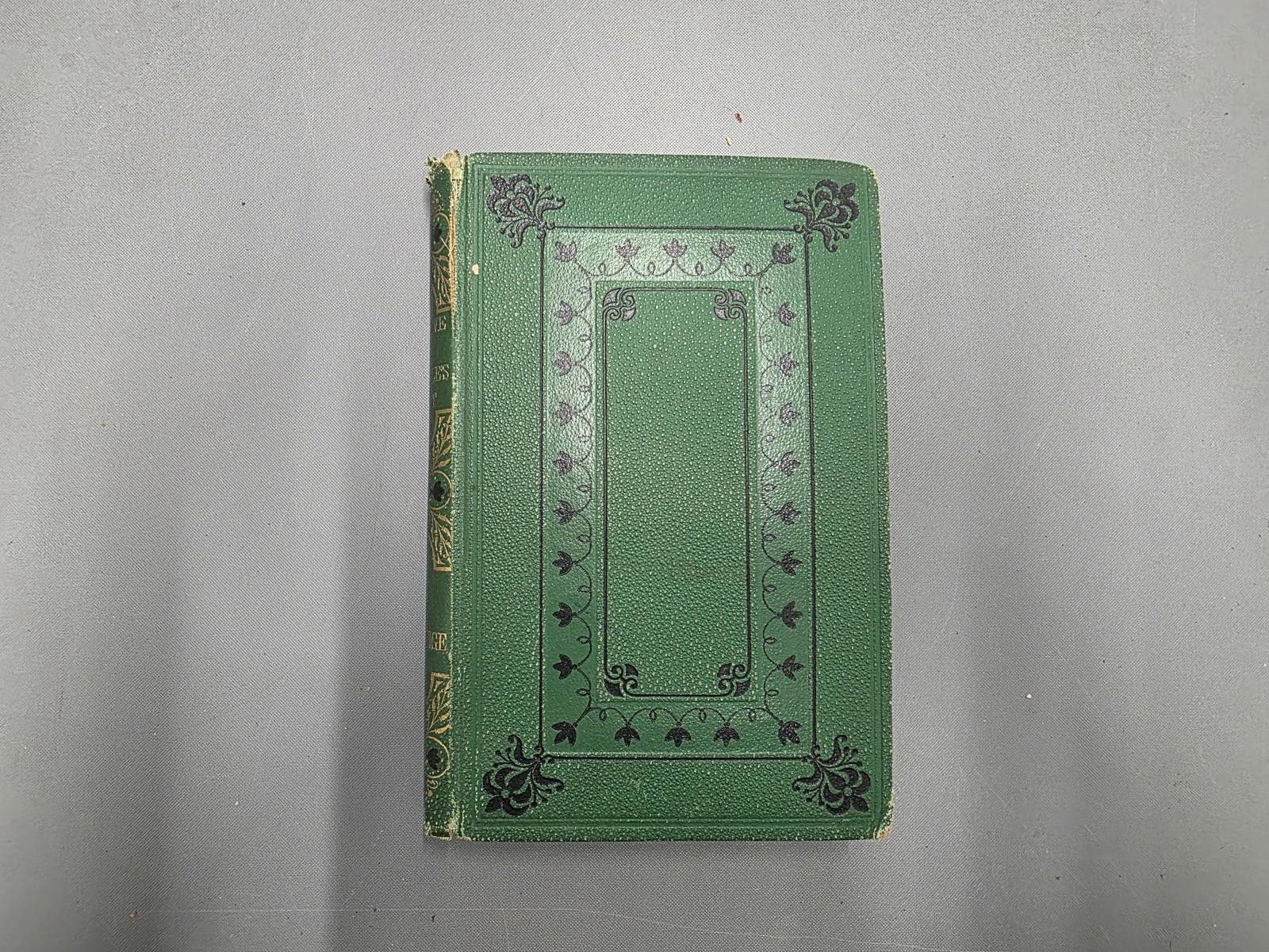 The Dove in The Eagle's Nest by Charlotte Mary Yonge- 1876