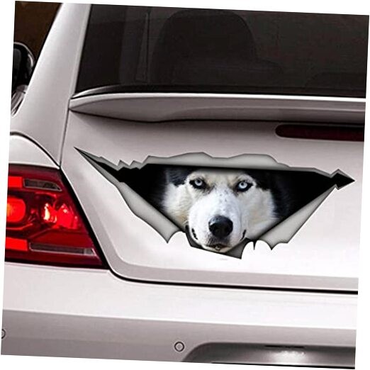 3D Car Decoration Sticker for Window Bumper - Crack Vinyl Dog Waterproof Husky