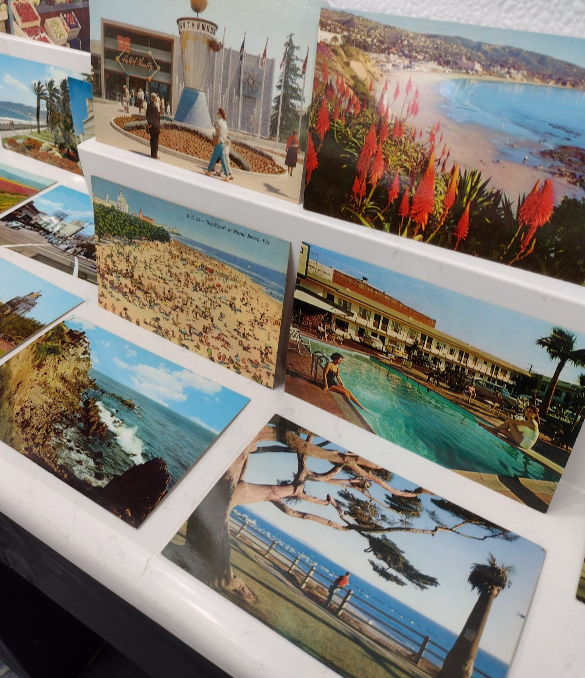 24 Vintage California Postcards, Disney, Miami Beach, Trolley, Airport, Flowers