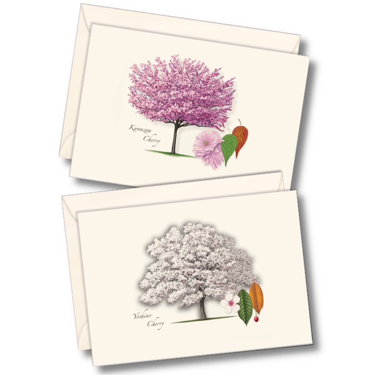 8 PCS Cherry Tree Assortment Notecard Set Blank Cards Envelopes Stationery