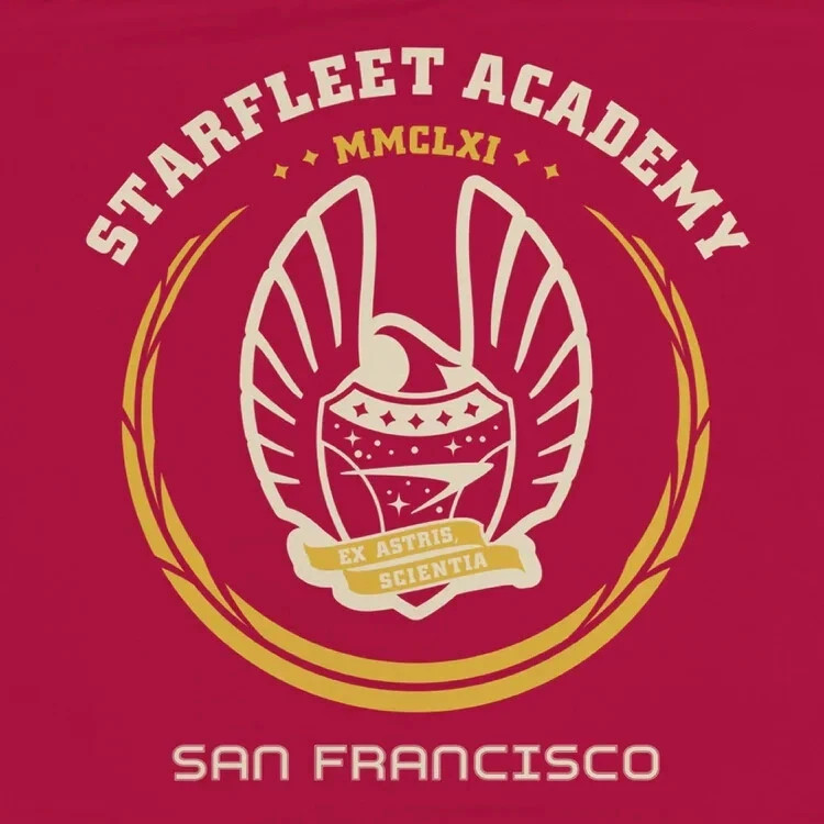 New Star Trek Starfleet Academy 30"x50" Wall Banner Flag