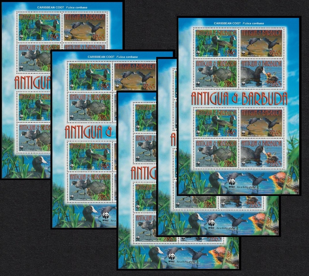 Antigua and Barbuda Birds WWF Caribbean Coot 5 MSs 2009 MNH SG#MS4263