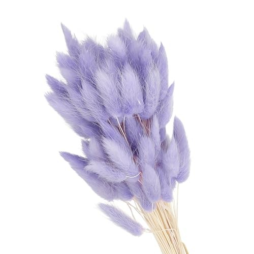  15.7in Bunny Tails Dried Flowers, 80pcs Pampas Grass Decor Rabbit Tail Purple