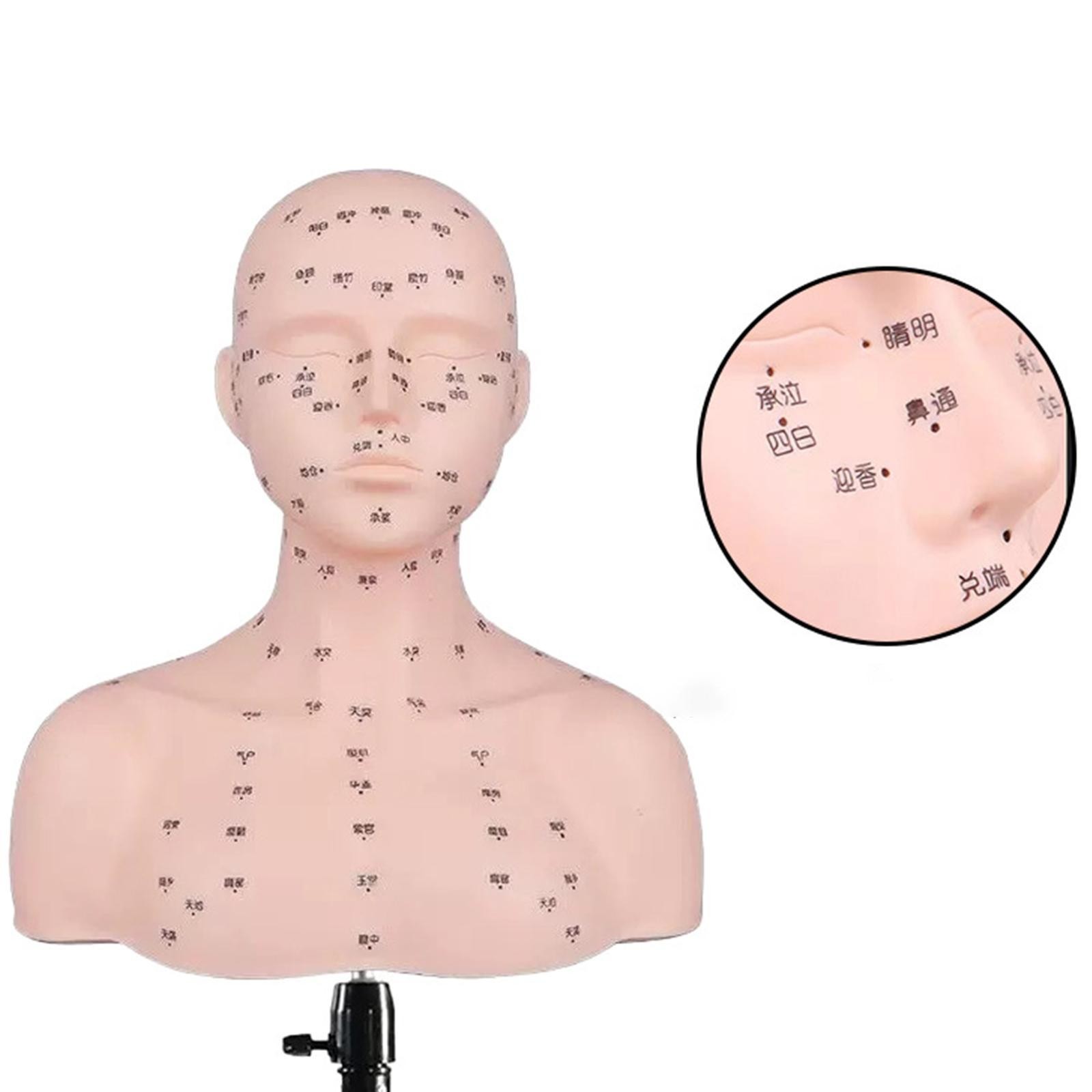 Mannequin Head Practice Tool Manikin Head Model
