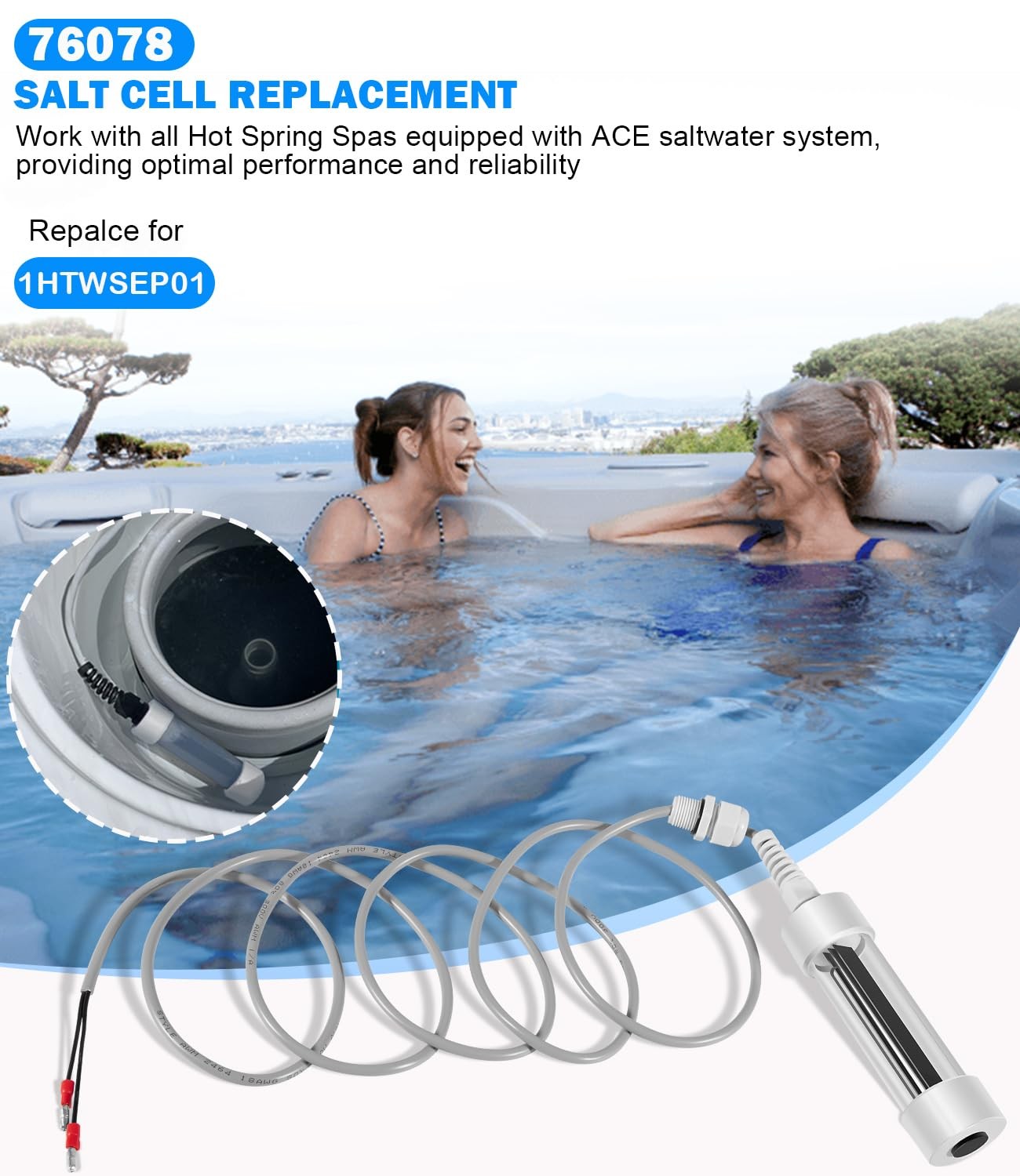 76078 Scepter Salt Cell 1HTWSEP01 For Hot Spring ACE Systems & Limelight Spas