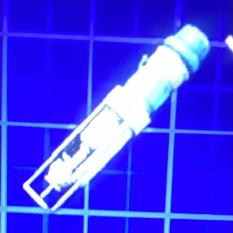 Digital Virtual In-Game Collectible Asset