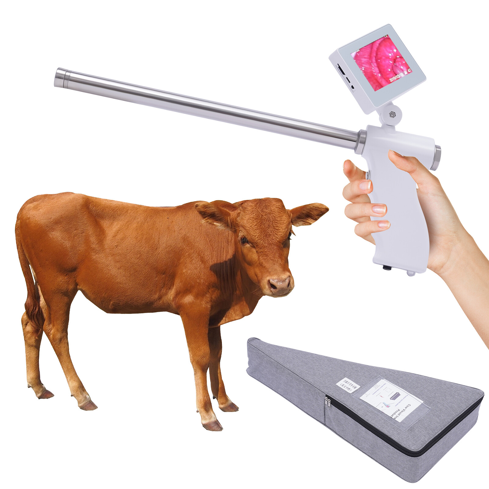 Visual Insemination Gun Cattle Cows for Livestock Artificial Insemination Kit HD