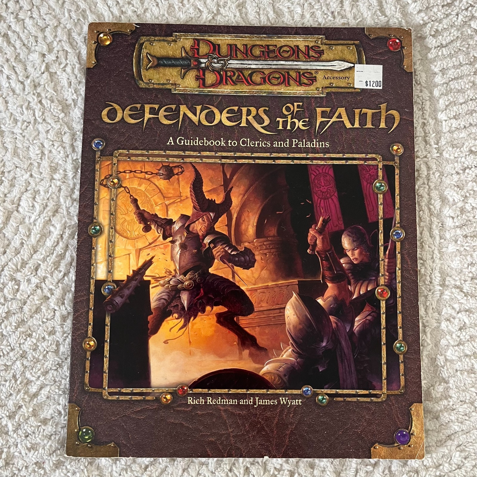 Dungeons & Dragons Guidebook Clerics Paladins Defenders Of The Faith