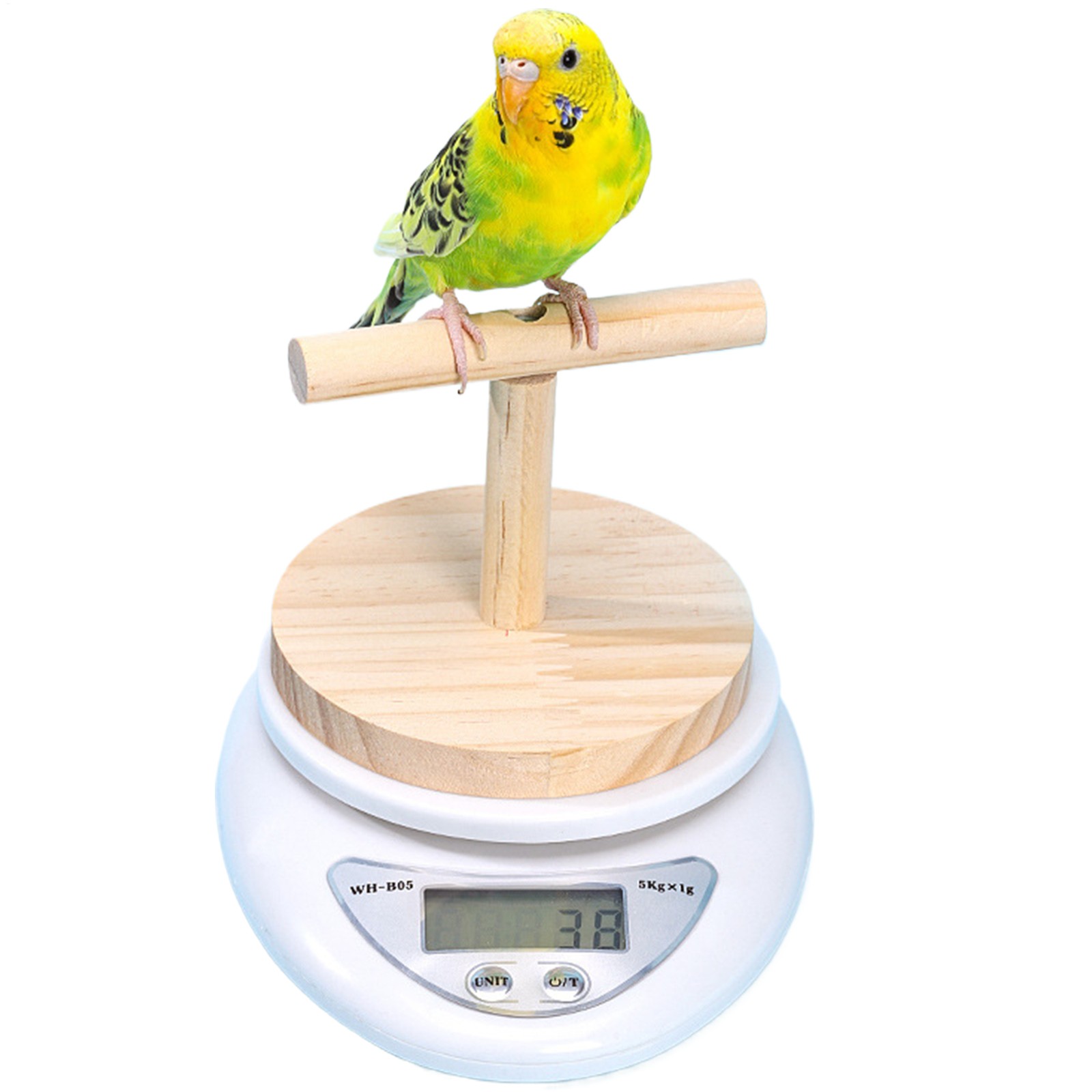 Bird Scale Small Animal Scale with Perch for Pet Bird High Accuracy Digital Weig