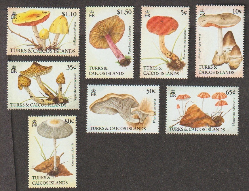 1994 Turks & Caicos Islands SC#1074-81 Mushrooms  MNH set