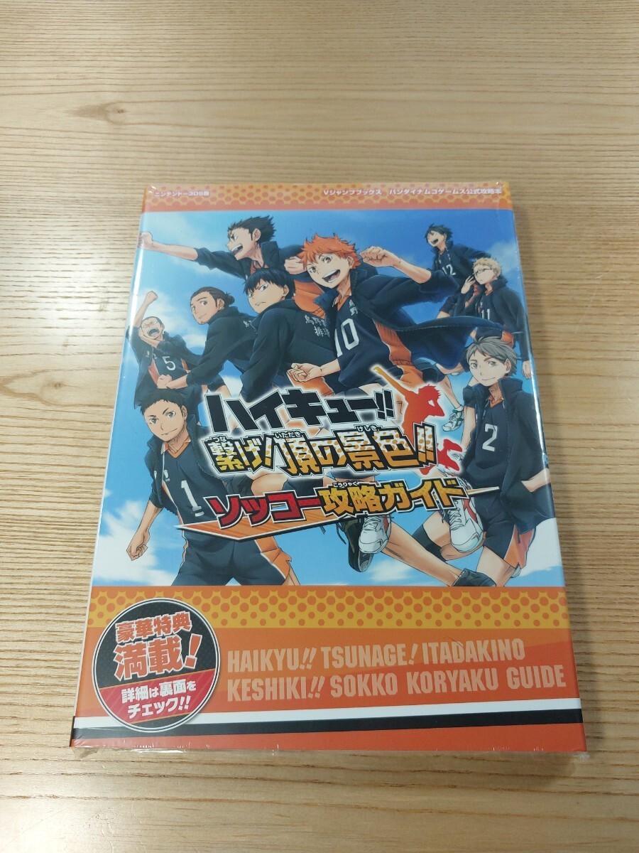 E3150 Haikyu Tsunade Top Scenery Sokko Strategy 3DS Strategy Suzu zk