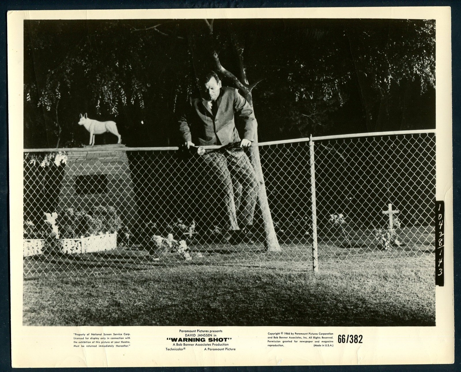 DAVID JANSSEN in Warning Shot '66 ANIMAL CEMETERY FENCE