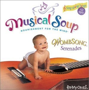 MUSICAL SOUP - Wombsong Serenades - CD - **Excellent Condition**
