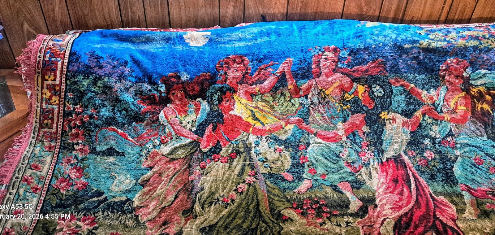 Vintage Beautiful Velvet Tapestry
