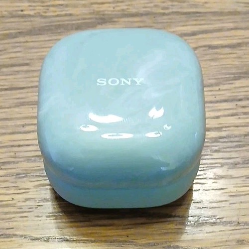 Sony - LinkBuds Fit True Wireless Noise Canceling Earbuds-Sage Green-[READ]