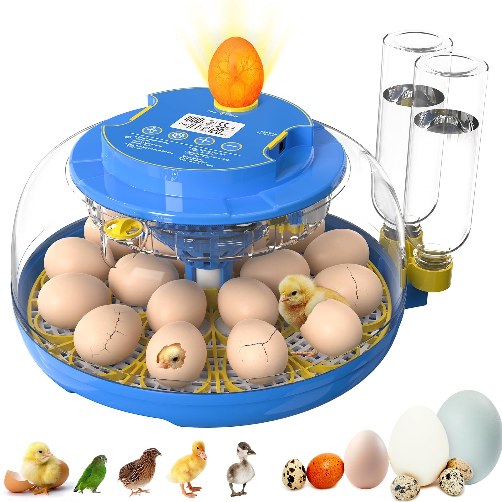 Incubators for Hatching Eggs,18 Egg Incubator with Automatic Turning and... 