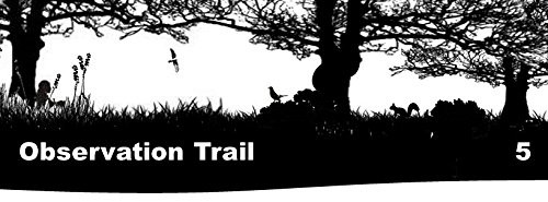 Discover Nature Awareness by Geoffrey McMullan Paperback / softback Book The