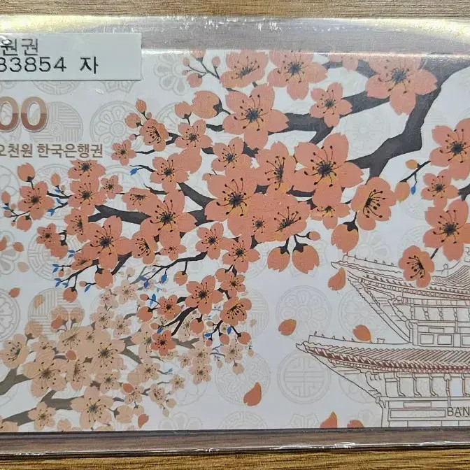 $5,000 Gift Certificate for Magga 1333854