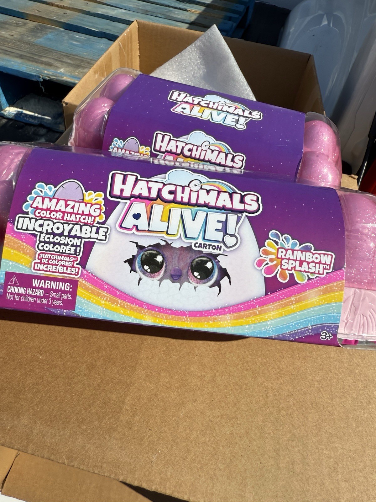 Hatchimals Alive! Rainbow Splash Egg Carton