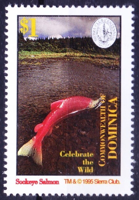 Dominica 1995 MNH, Sockeye Salmon, Fishes Sea life